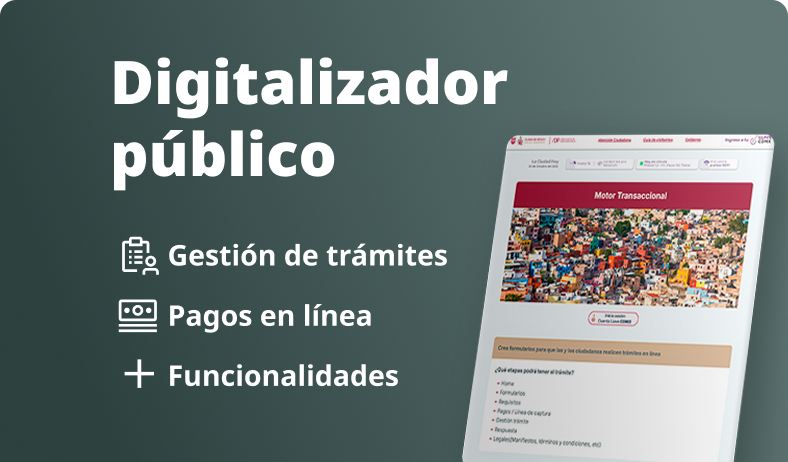 Digitalizador Público