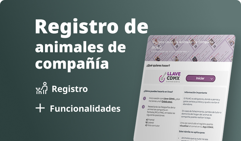 Registro de Animales de Compañía