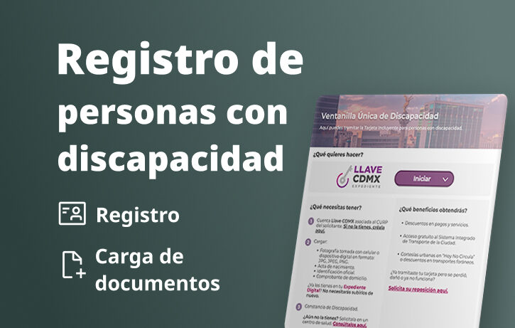 Sistema de Registro para Personas con Discapacidad
